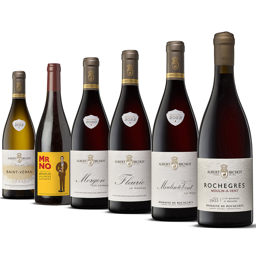 Online store Domaines Albert Bichot Burgundy wines France