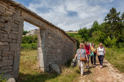 Getaway to Château-Gris