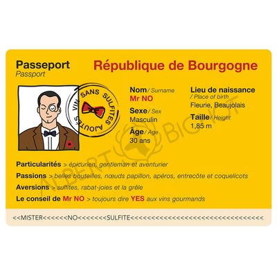 Beaujolais-Villages "Mr NO" 2022