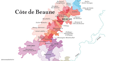 Bourgogne Côte d’Or Chardonnay "Secret de Famille" 2023