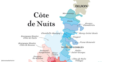 Bourgogne Côte d’Or Pinot Noir "Secret de Famille" 2022