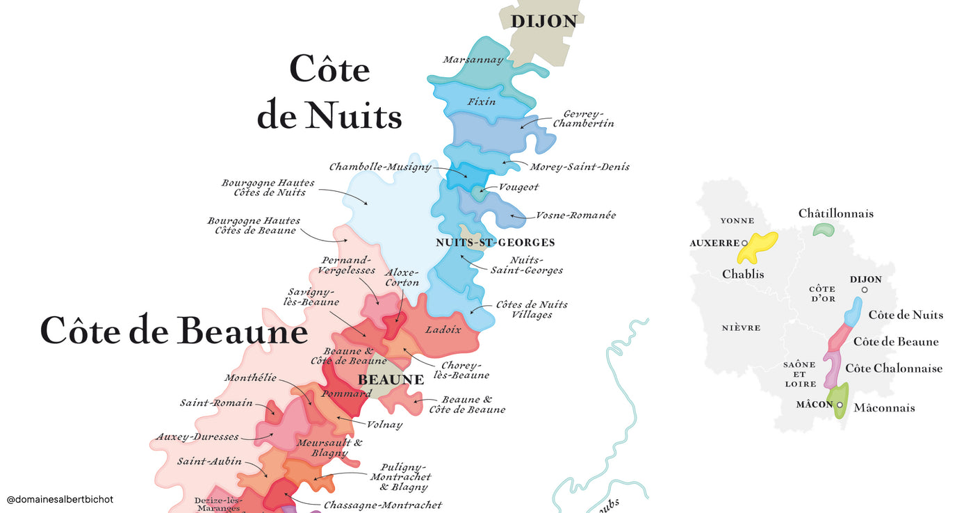 Bourgogne Pinot Noir "Origines" 2023