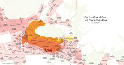 Corton Grand Cru "Clos des Maréchaudes" Monopole Domaine du Pavillon 2022