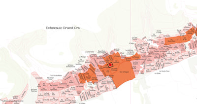Echezeaux Grand Cru Domaine du Clos Frantin 2022