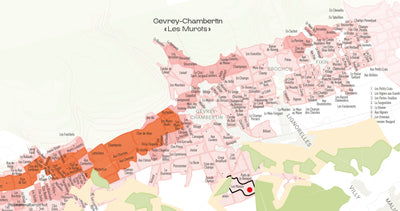 Gevrey-Chambertin "Les Murots" Domaine du Clos Frantin 2023