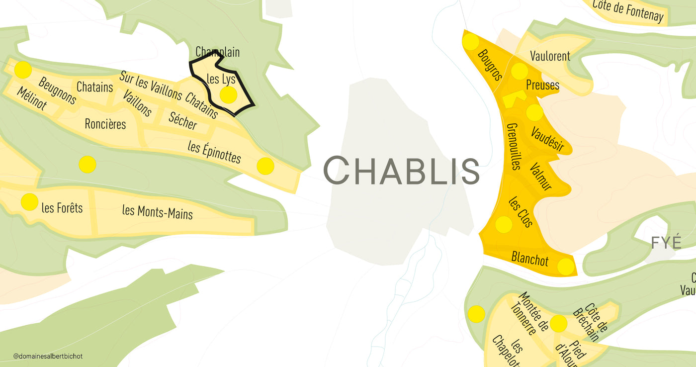 Chablis Premier Cru "Les Lys" Domaine Long-Depaquit 2022