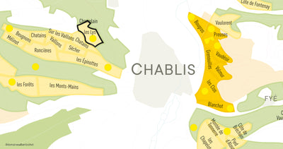 Chablis Premier Cru "Les Lys" Domaine Long-Depaquit 2022