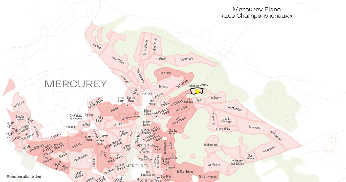 Mercurey "Les Champs-Michaux" Domaine Adélie 2023