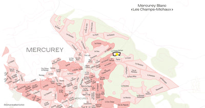 Mercurey "Les Champs-Michaux" Domaine Adélie 2023