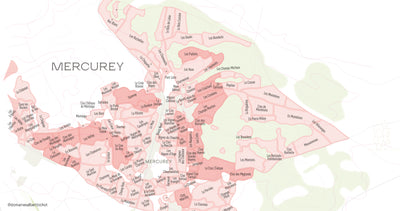 Bourgogne Aligoté "Champ Renard" Domaine Adélie 2023
