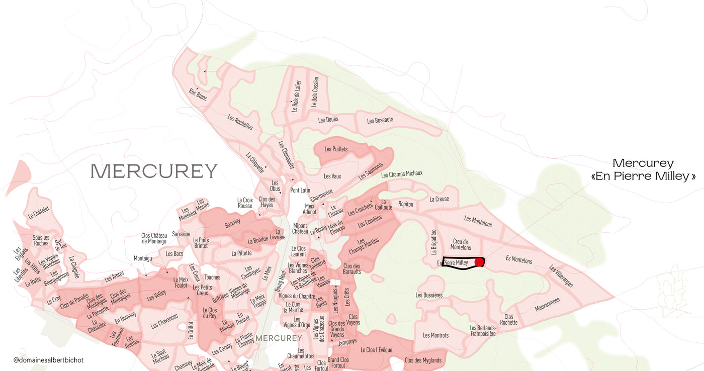 Mercurey "En Pierre Milley" Domaine Adélie 2022