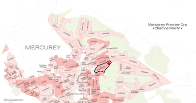 Mercurey Premier Cru "Champs Martin" Domaine Adélie 2023