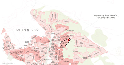 Mercurey Premier Cru "Champs Martin" Domaine Adélie 2021