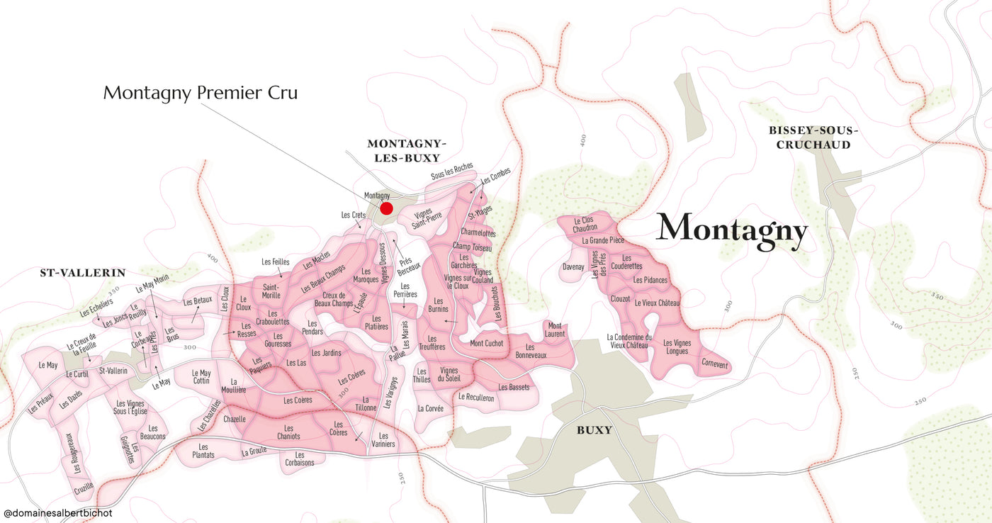 Montagny Premier Cru 2022