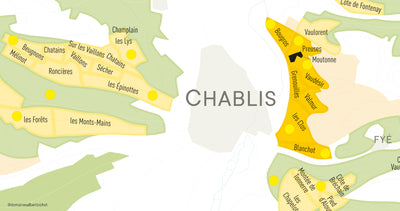 Chablis Grand Cru “Moutonne” Monopole Domaine Long Depaquit 2022