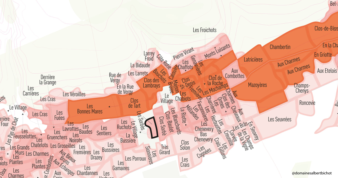 Morey-Saint-Denis Premier Cru "Les Sorbets" 2018
