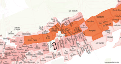 Morey-Saint-Denis Premier Cru "Les Sorbets" 2018