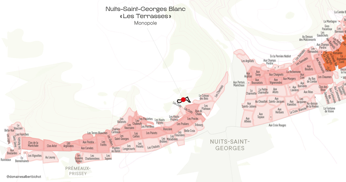 Nuits-Saint-Georges "Les Terrasses" Monopole Château-Gris 2023