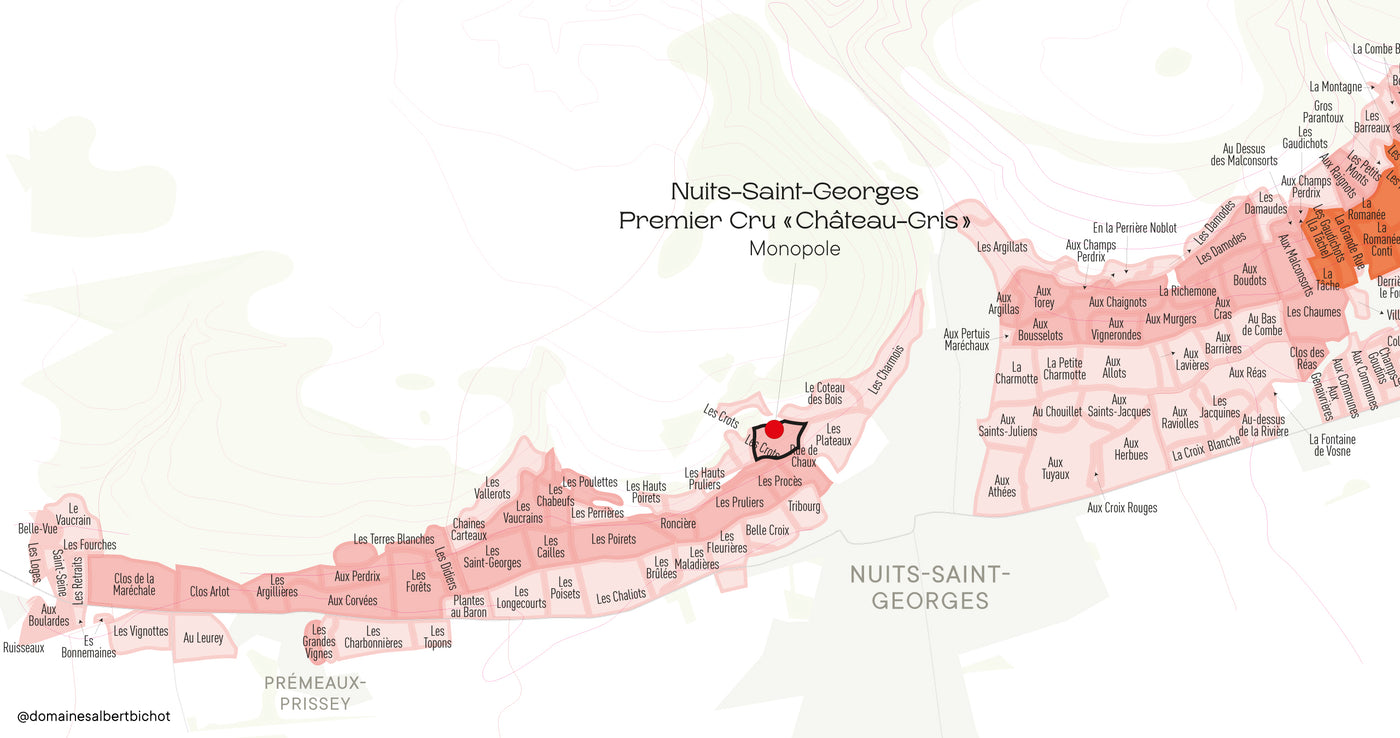 Nuits-Saint-Georges Premier Cru "Château-Gris" Monopole 2022