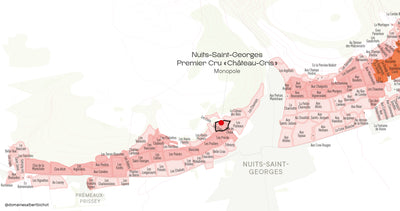 Nuits-Saint-Georges Premier Cru "Château-Gris" Monopole 2022
