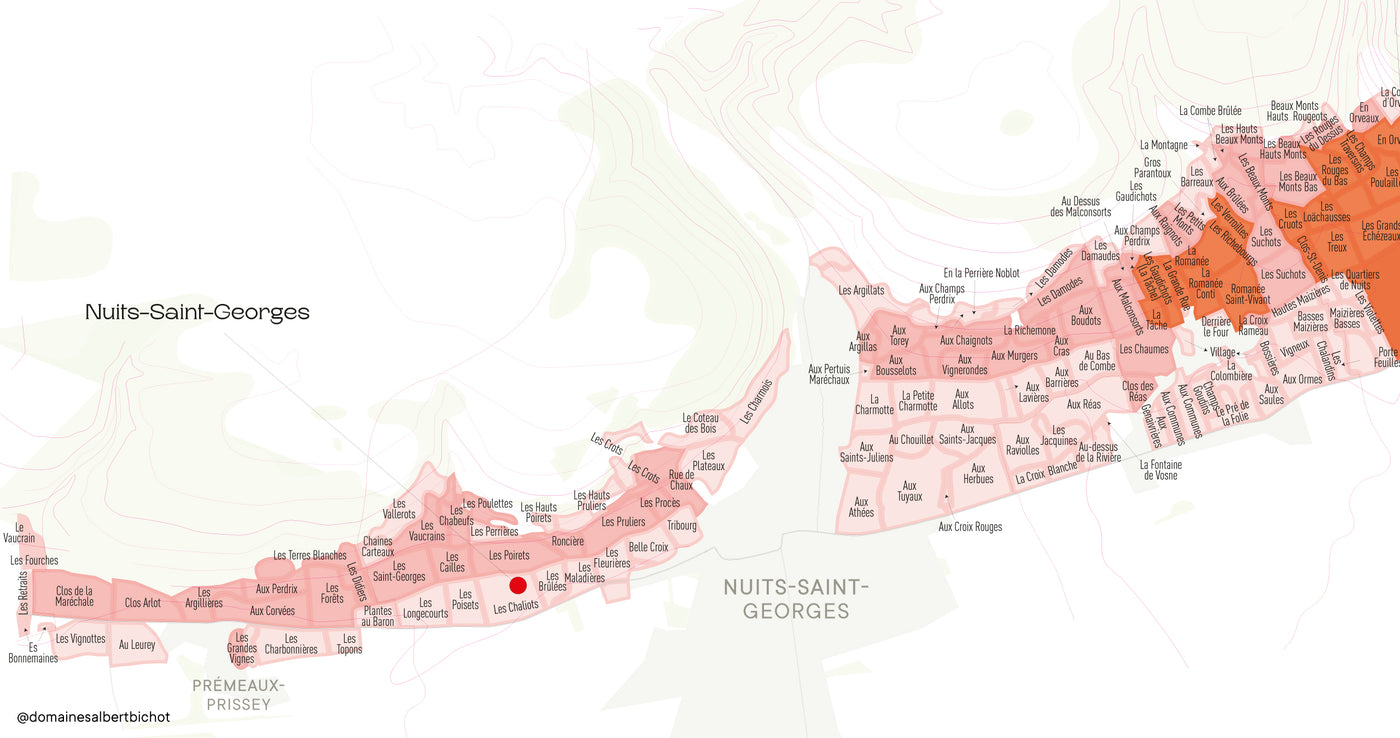 Nuits-Saint-Georges 2021