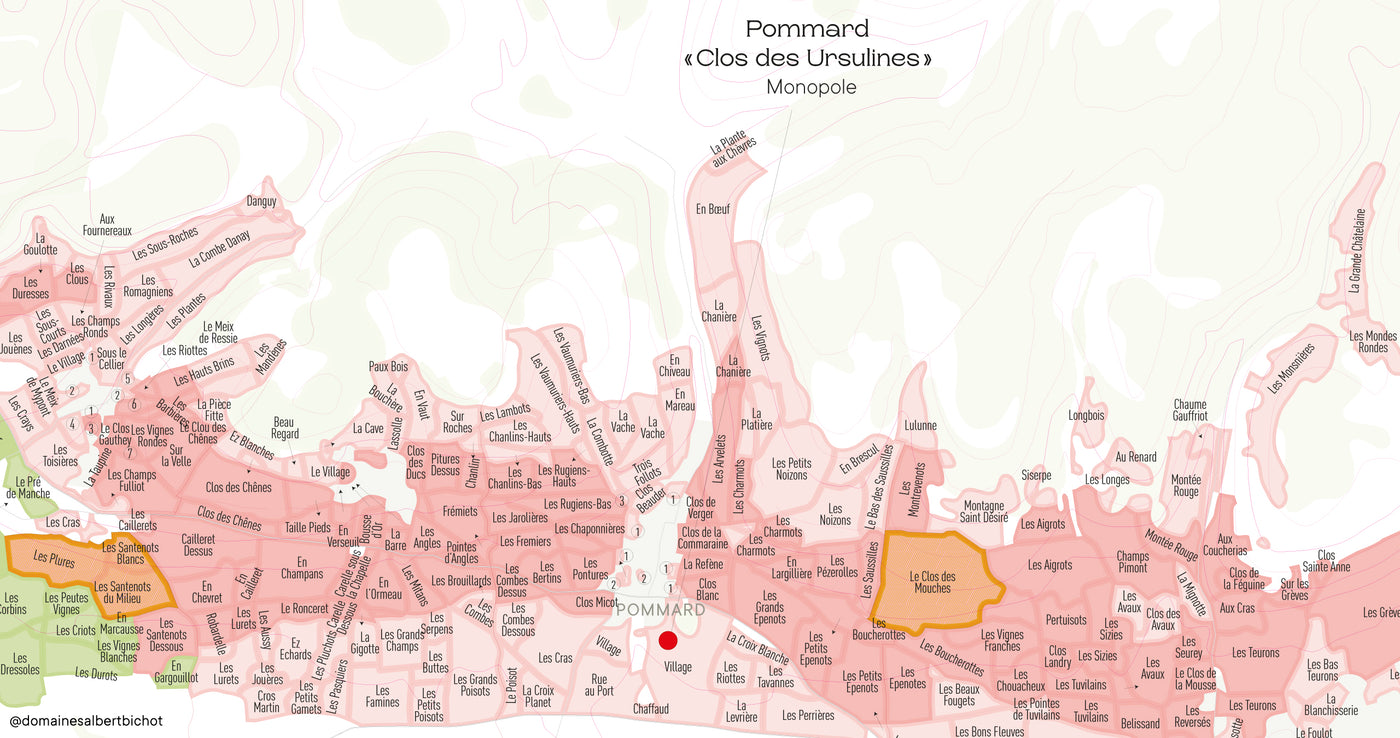 Pommard "Clos des Ursulines" Monopole Domaine du Pavillon 2023
