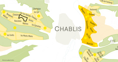 Chablis Premier Cru "Les Vaillons" Domaine Long-Depaquit 2020 (6 bouteilles)