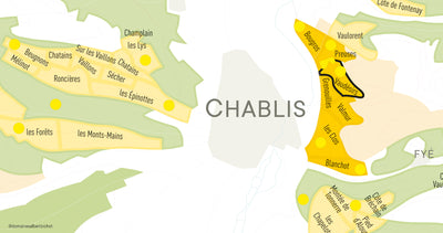 Chablis Grand Cru "Les Vaudésirs" Domaine Long-Depaquit 2019