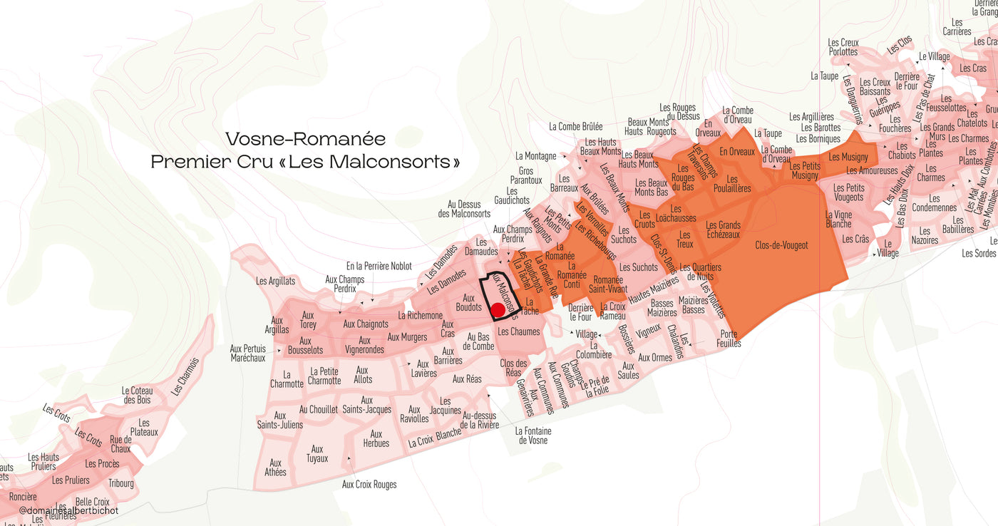 Vosne-Romanée Premier Cru "Les Malconsorts" Domaine du Clos Frantin 2018