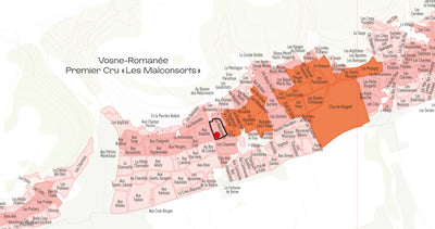 Vosne-Romanée Premier Cru "Les Malconsorts" Domaine du Clos Frantin 2018