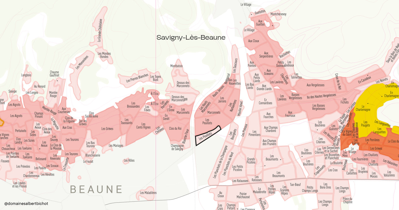 Savigny-Les-Beaune Premier Cru "Les Peuillets" 2022