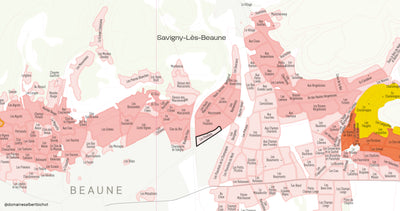 Savigny-Les-Beaune Premier Cru "Les Peuillets" 2022
